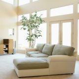 シマトネリコ｜爽やかで涼しげな空間を演出するフェイクグリーン観葉植物カテゴリー