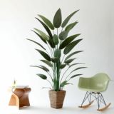 光触媒　造花　人工　観葉植物　フェイクグリーン　オーガスタ　ストレリチア