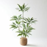 ドラセナ｜シャープな葉姿で空間を引き締めるフェイクグリーン観葉植物
