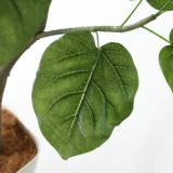 フィカス・ウンベラータ｜大きな葉で優しい雰囲気を演出するフェイクグリーン観葉植物