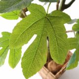 光触媒　造花　人工　観葉植物　フェイクグリーン　レモン　檸檬　みかん　ミカン