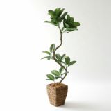 高さ120〜150cm｜インテリアの主役になる程よいボリュームのフェイクグリーン観葉植物