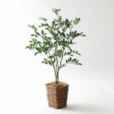 高さ50〜100cm｜扱いやすく空間になじむ中型フェイクグリーン観葉植物