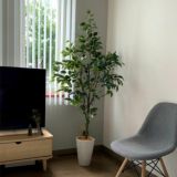 スリムでスタイリッシュ｜洗練された印象を与える細身のフェイクグリーン観葉植物