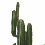 フェイクグリーン 人工 観葉植物 造花 観葉植物 フェイク サボテン カクタス ウチワサボテン