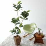 光触媒 フェイクグリーン インドゴムノキ 観葉植物 造花 おしゃれ 消臭 室内用 人工植物 ゴムの木