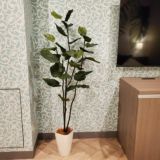 店舗・オフィスにおすすめの光触媒フェイクグリーン｜空間演出に最適