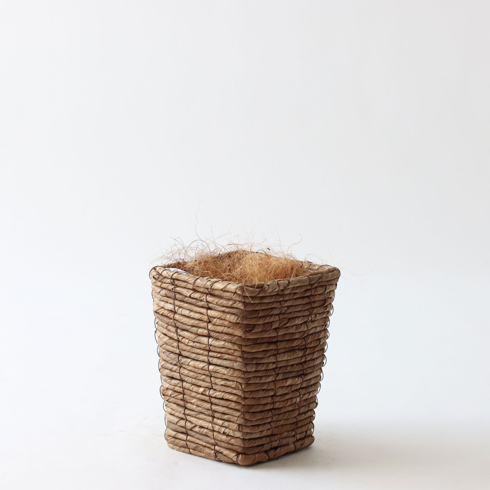 バナナリーフ ミニ（KG77）