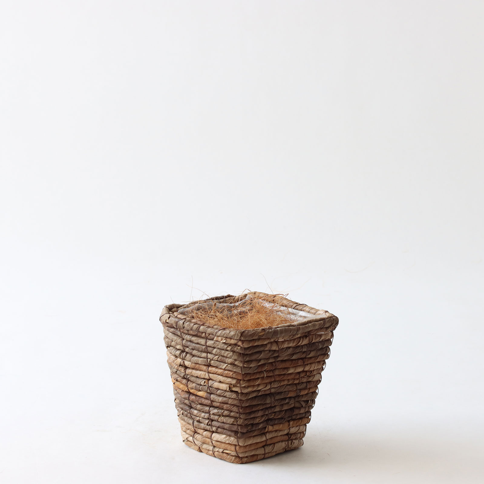 バナナリーフ ミニ（KG75）