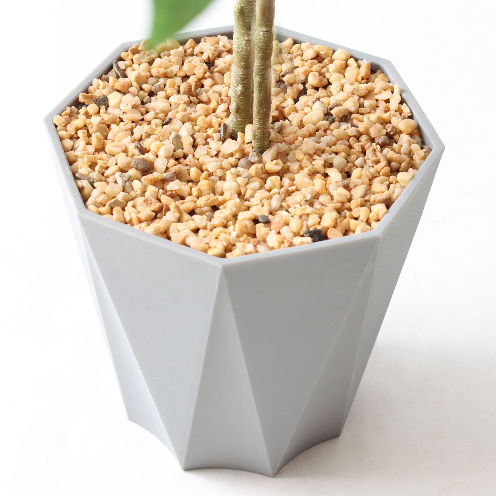 Formaポット（標準）