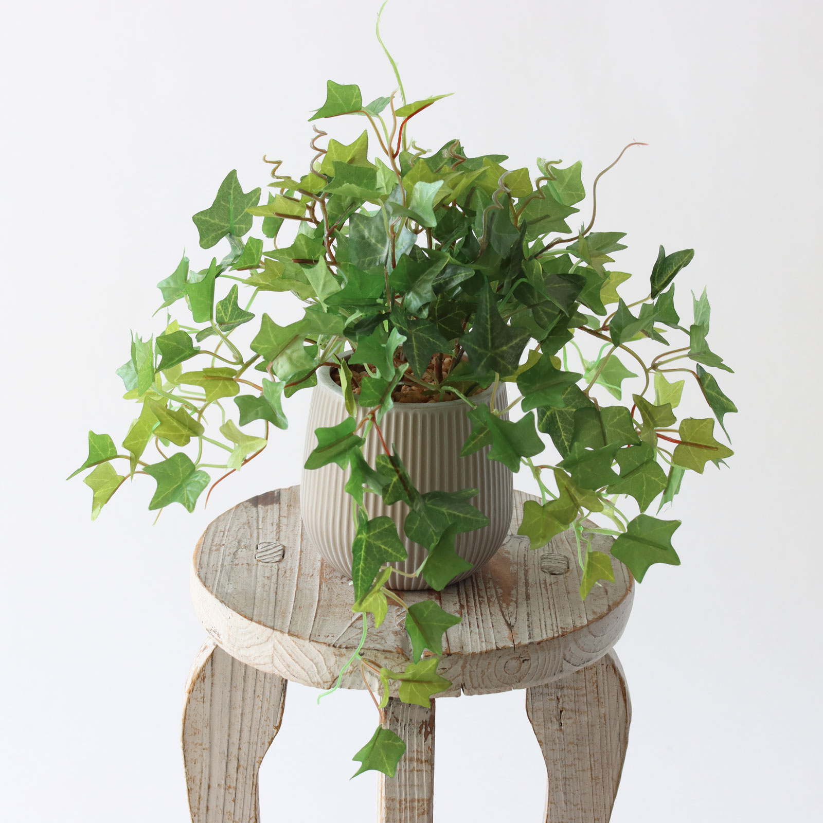 360度回転イメージ