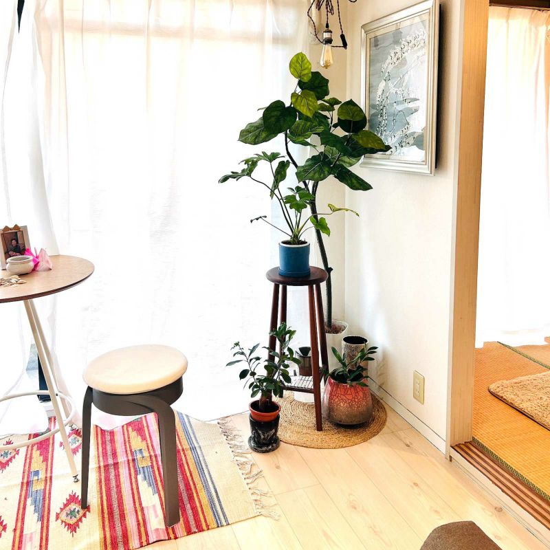 No9266 お客様写真1