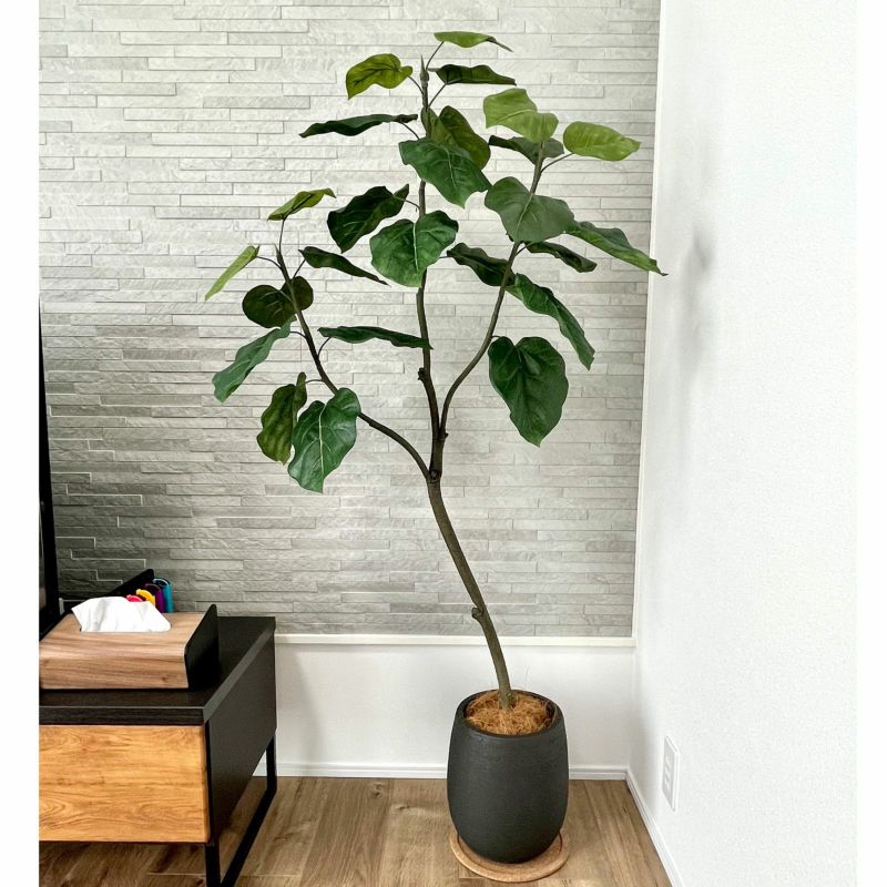 No9266 お客様写真11