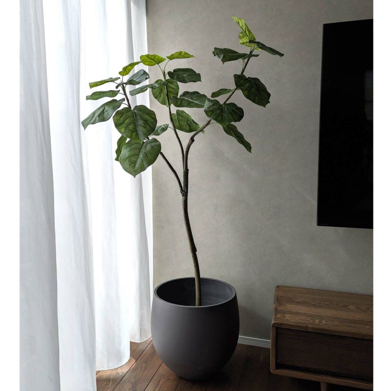 No9266 お客様写真12