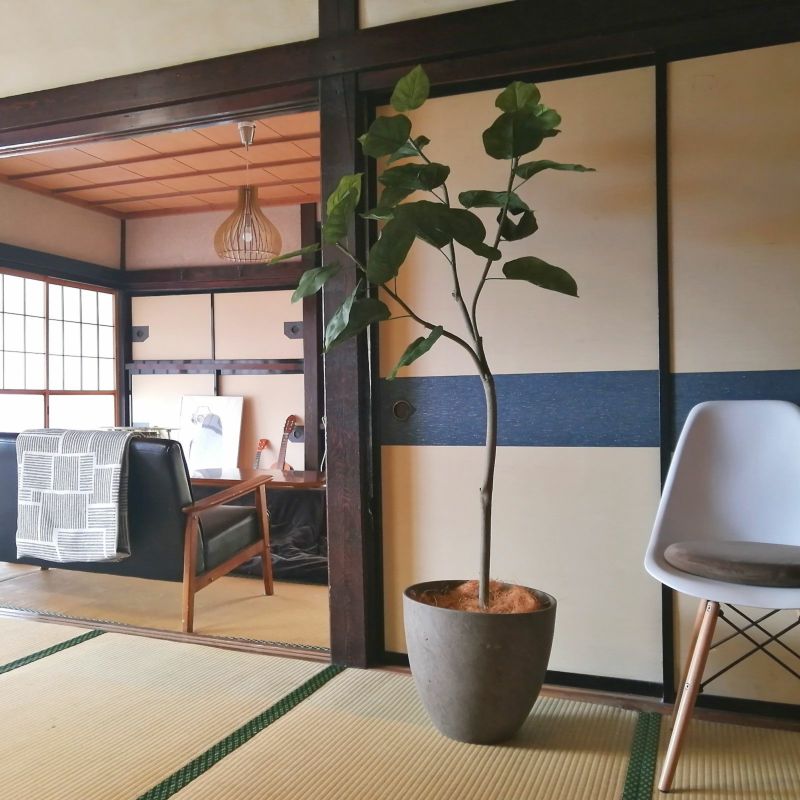 No9266 お客様写真2