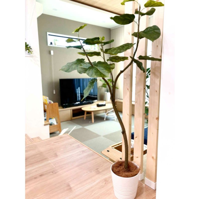 No9266 お客様写真3