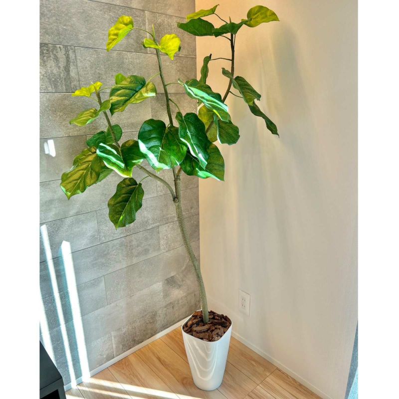 No9266 お客様写真4