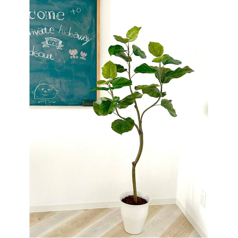 リアルな質感のフィカス・ウンベラータ フェイクグリーン