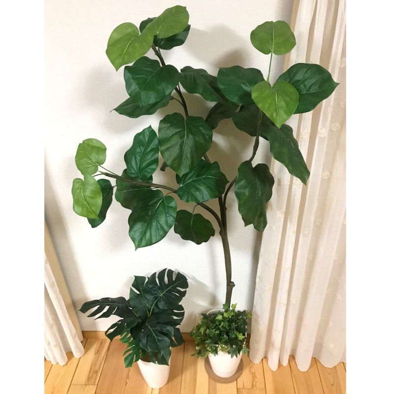 No9266 お客様写真6