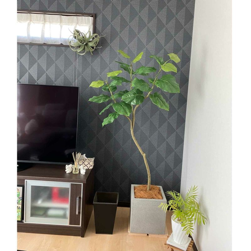 No9266 お客様写真7