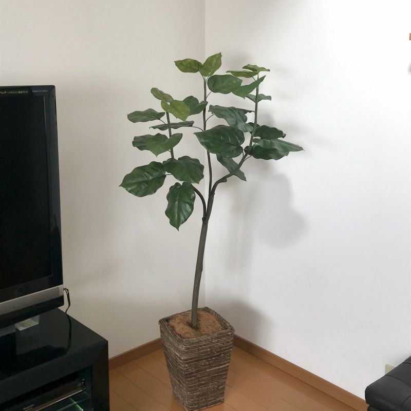 No9266 お客様写真9