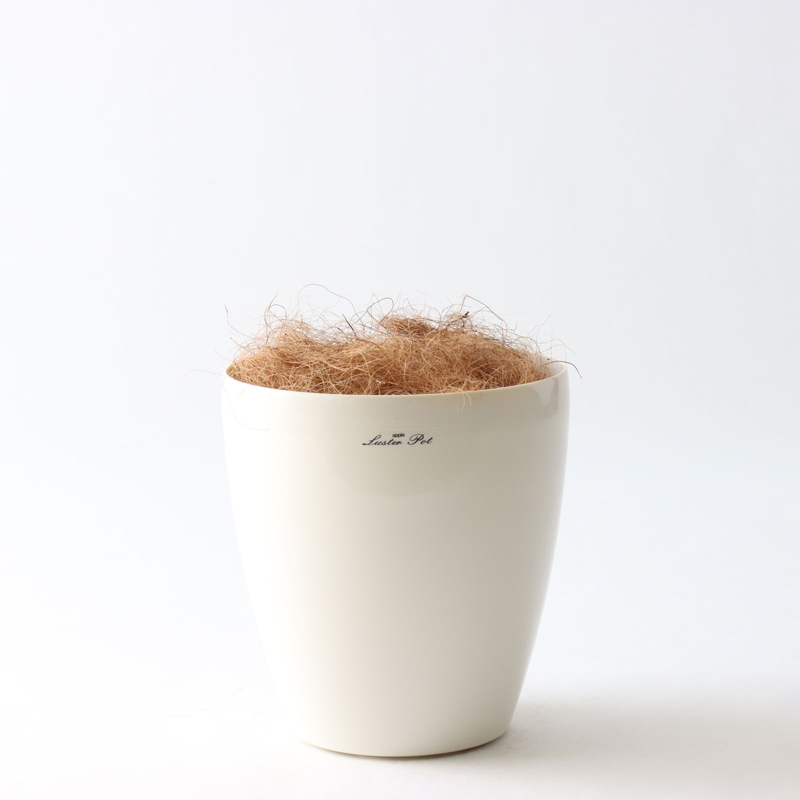 ラスターポット265