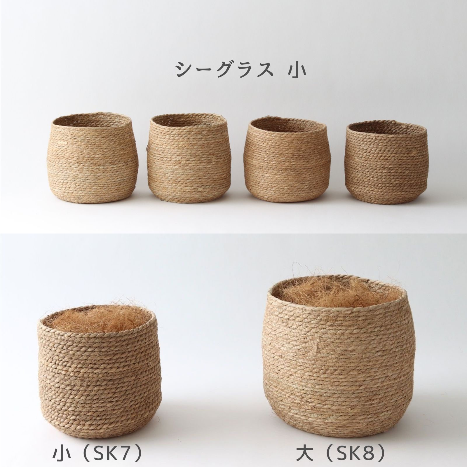 シーグラス小 個体差イメージ