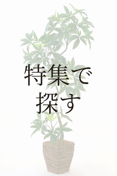 特集で探す