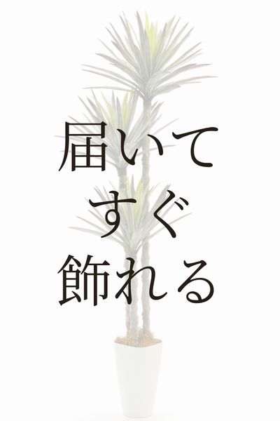 届いてすぐ飾れる