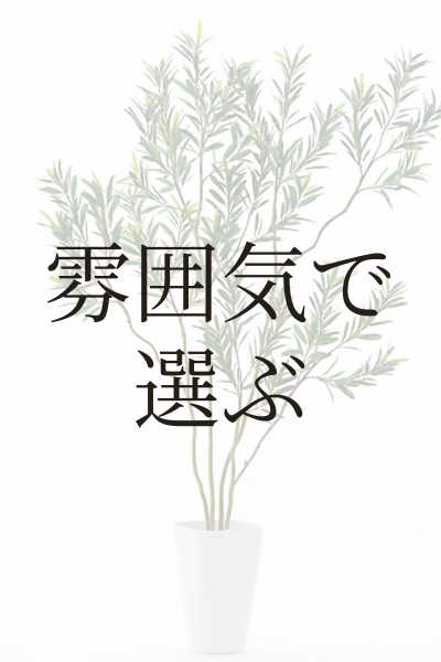 雰囲気で選ぶ