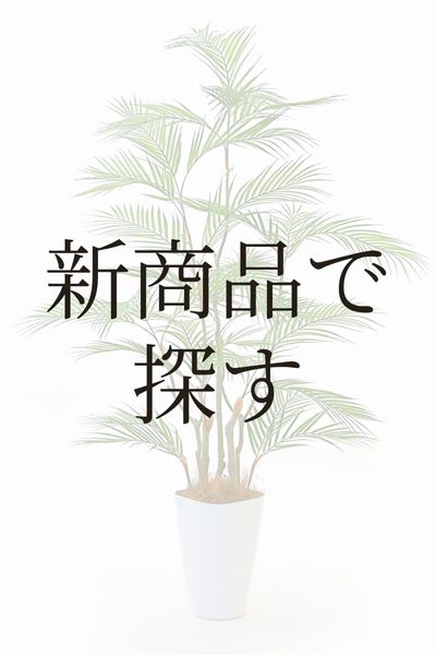 新商品で探す