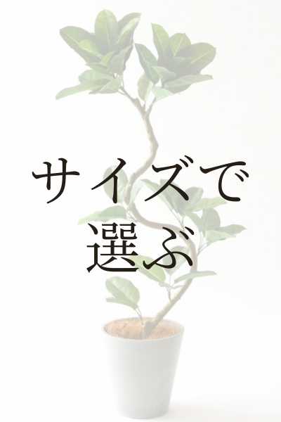 ベンジャミン（フィカス） | プレミアム光触媒フェイクグリーン 造花
