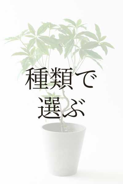 種類で選ぶ