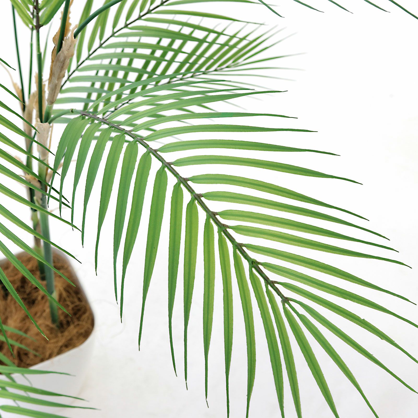 光触媒フェイクグリーンで空間を清潔に整える