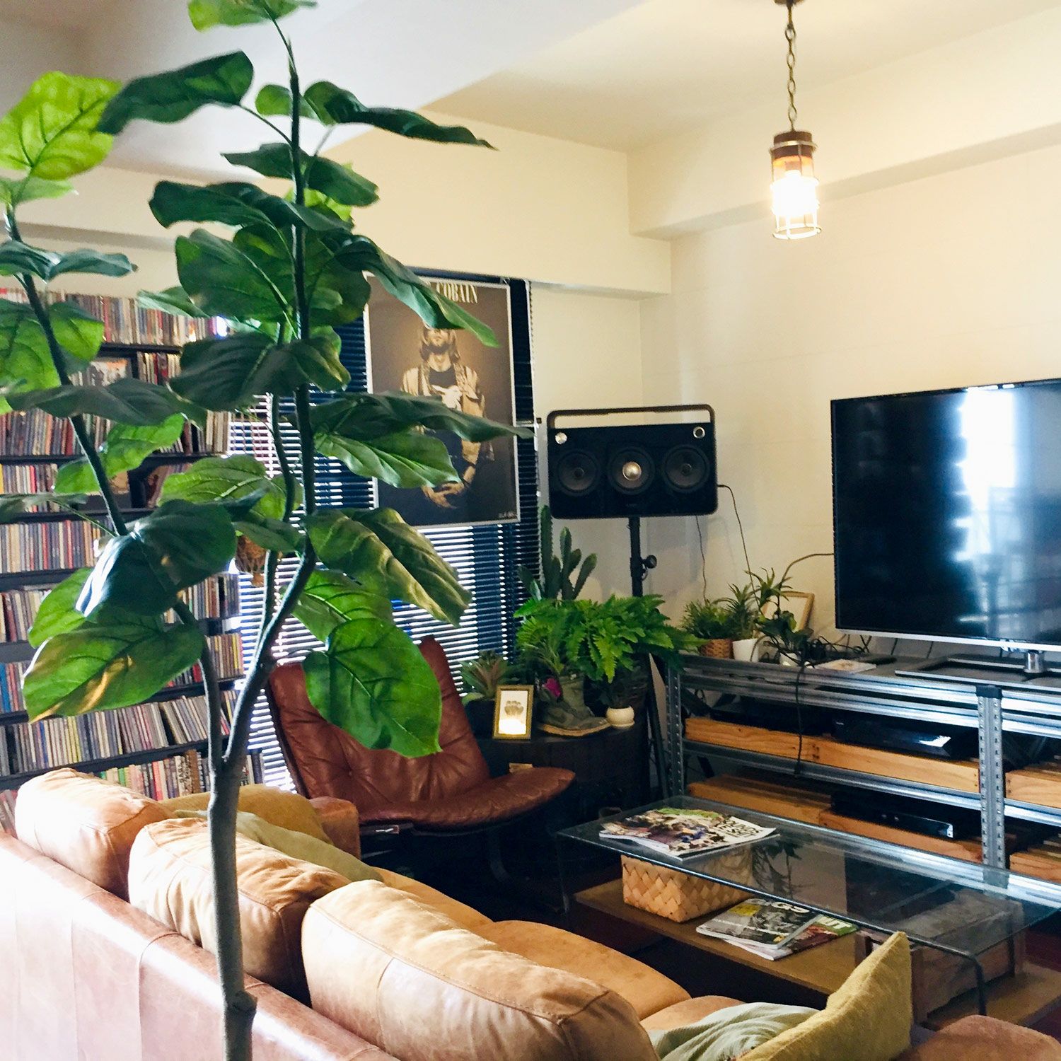 撮影・配信の背景を彩るフェイクグリーン