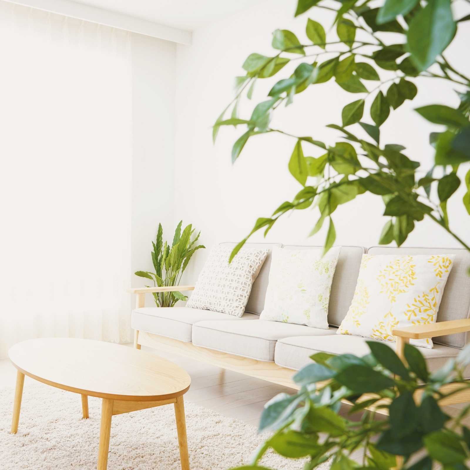 リビング・撮影スタジオにおすすめ フェイクグリーン使用例