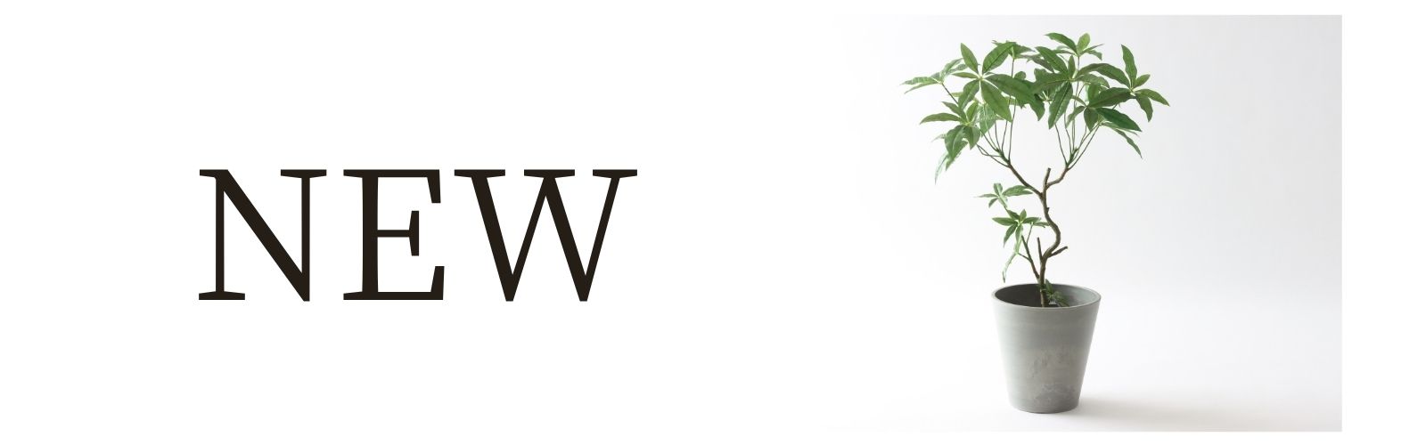 フェイクグリーン 人工観葉植物 新商品