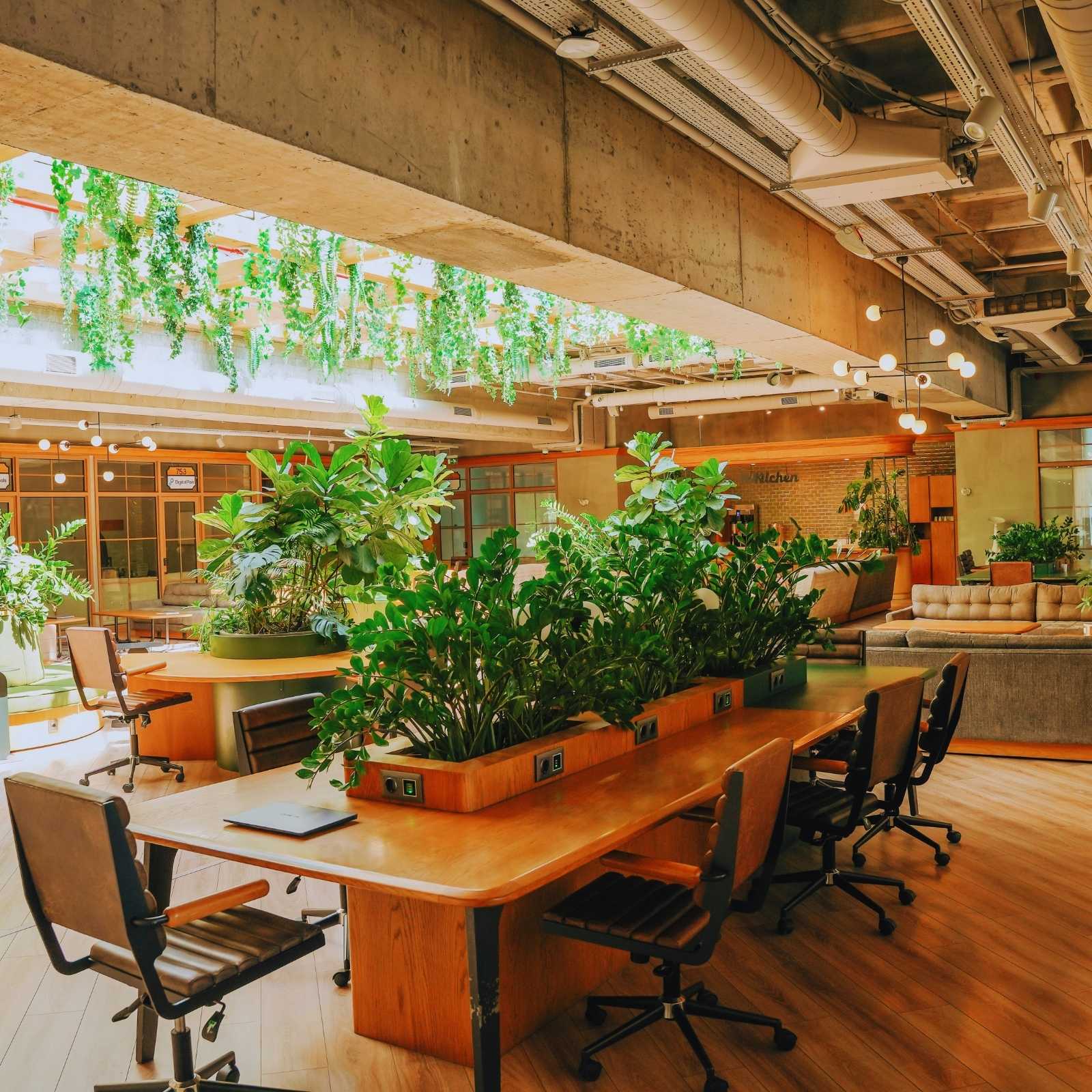 店舗・オフィスにおすすめ フェイクグリーンの導入事例