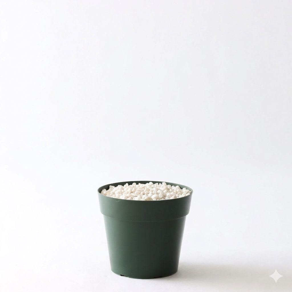 プラ鉢（標準）