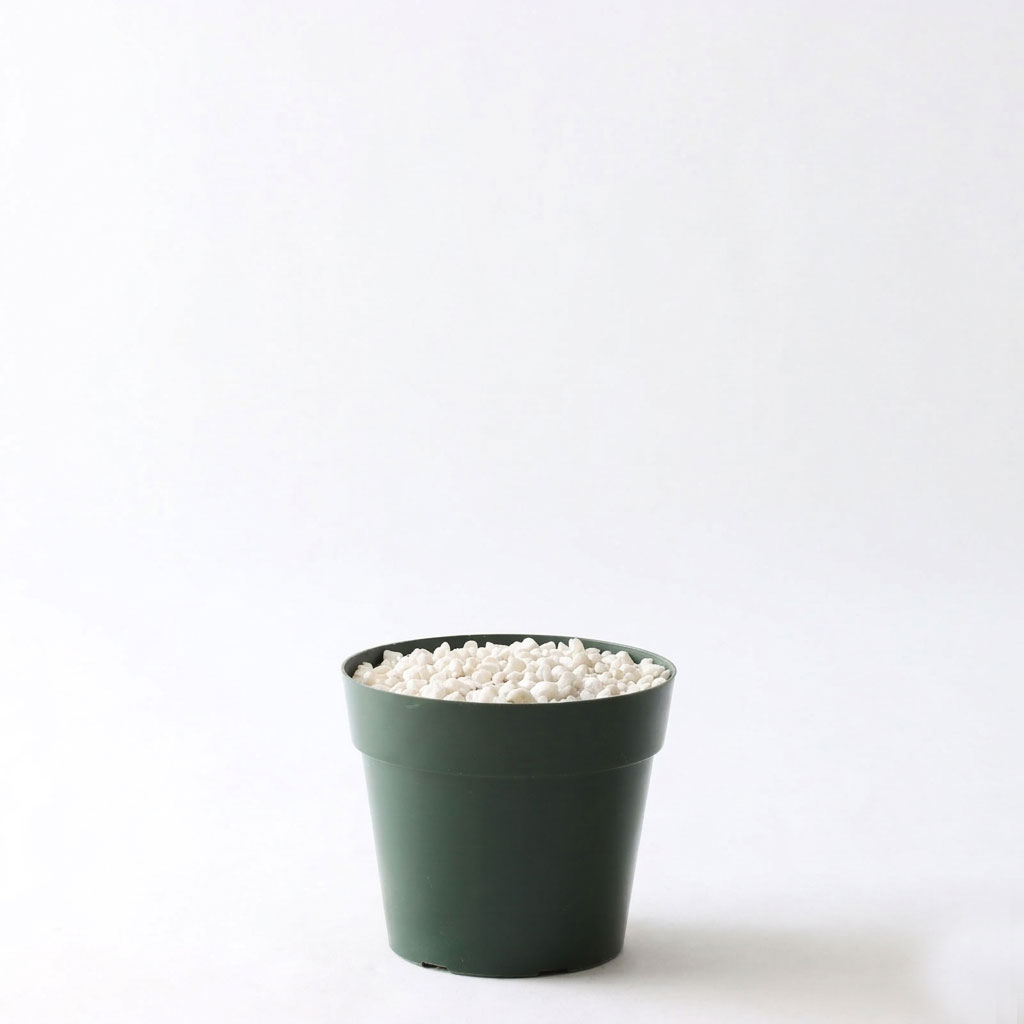 プラ鉢（標準）