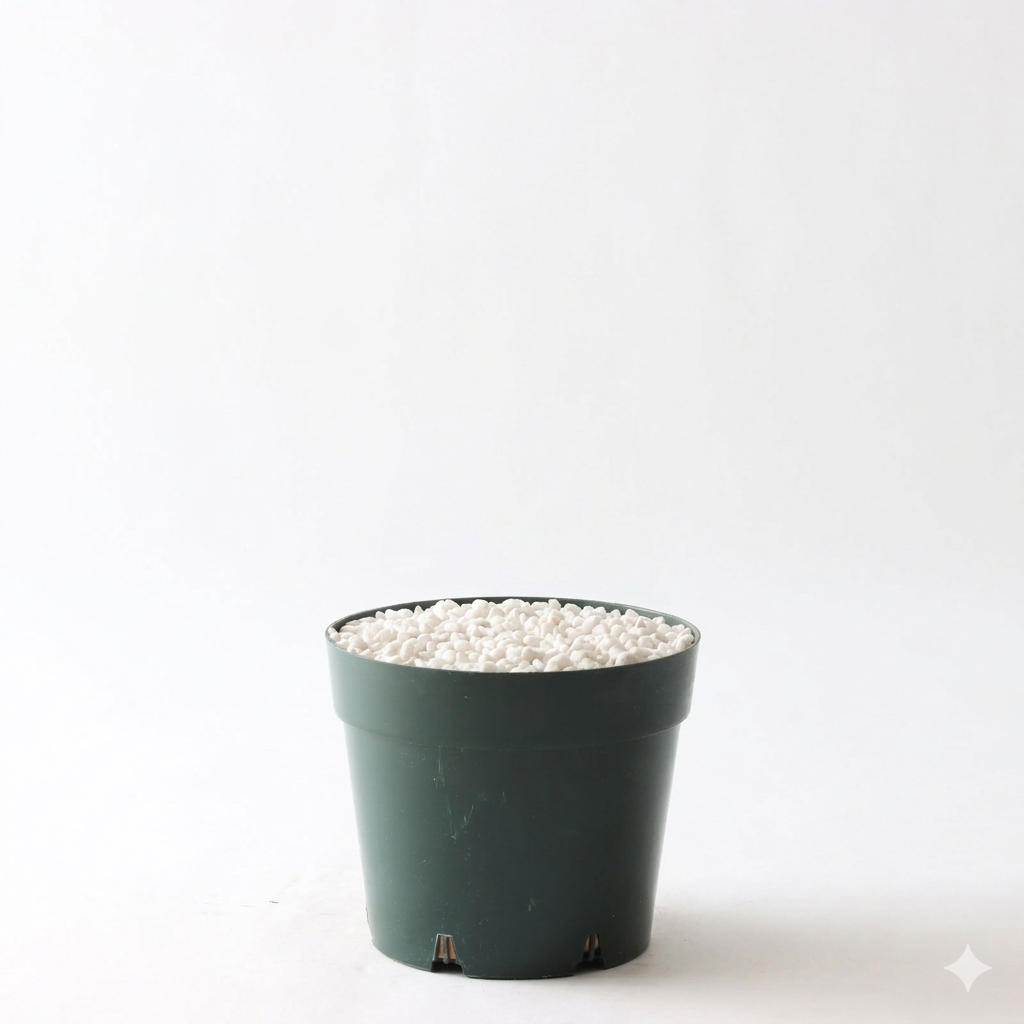 プラ鉢（標準）