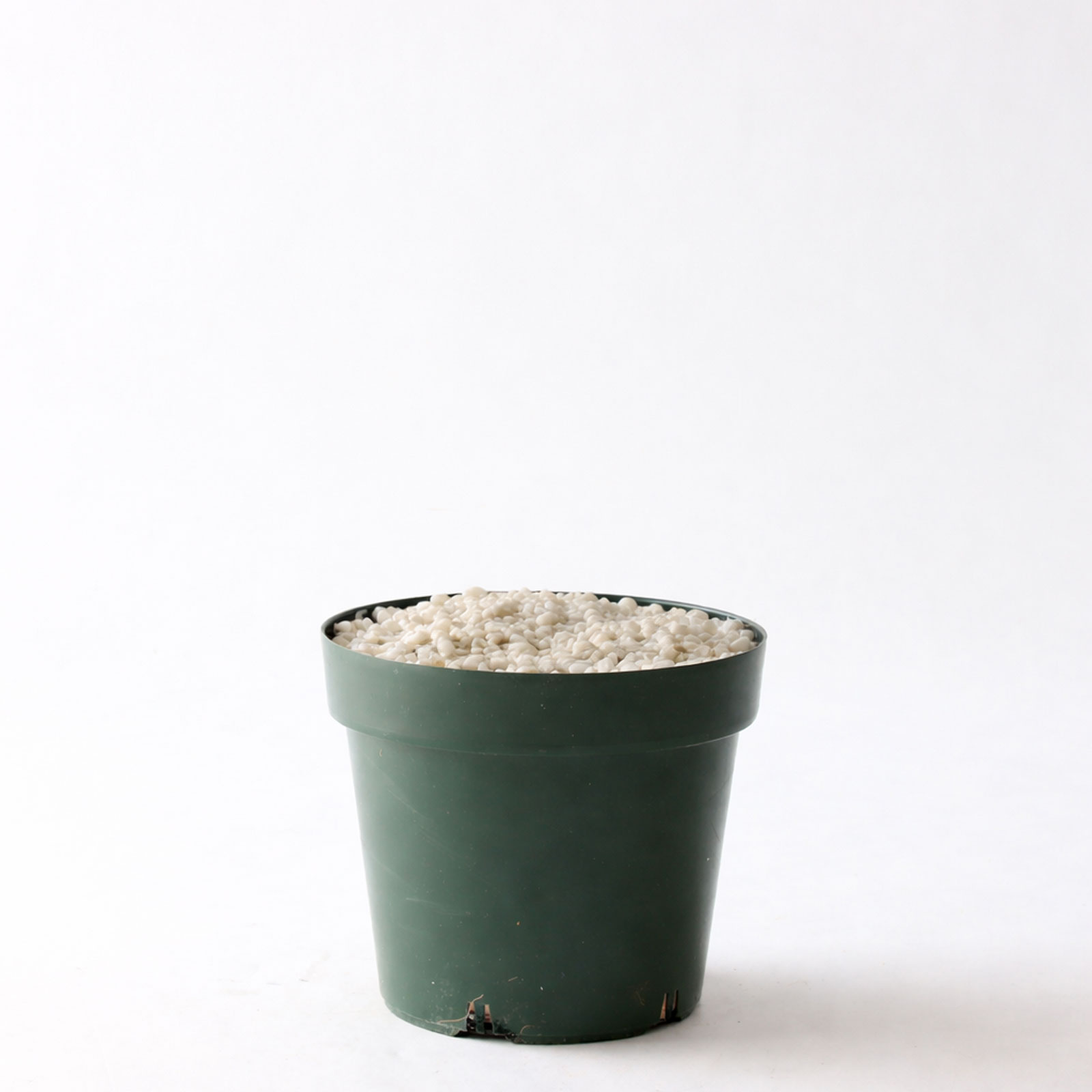 プラ鉢（標準）