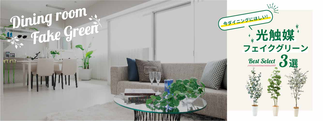 ダイニング　食事　レストラン カフェ　オススメ 光触媒 フェイクグリーン 人工観葉植物 観葉樹 特集