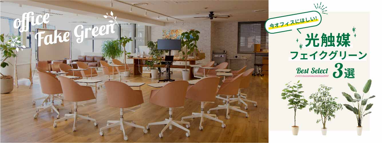 オフィス 事務所 オススメ 光触媒 フェイクグリーン 人工観葉植物 観葉樹 特集