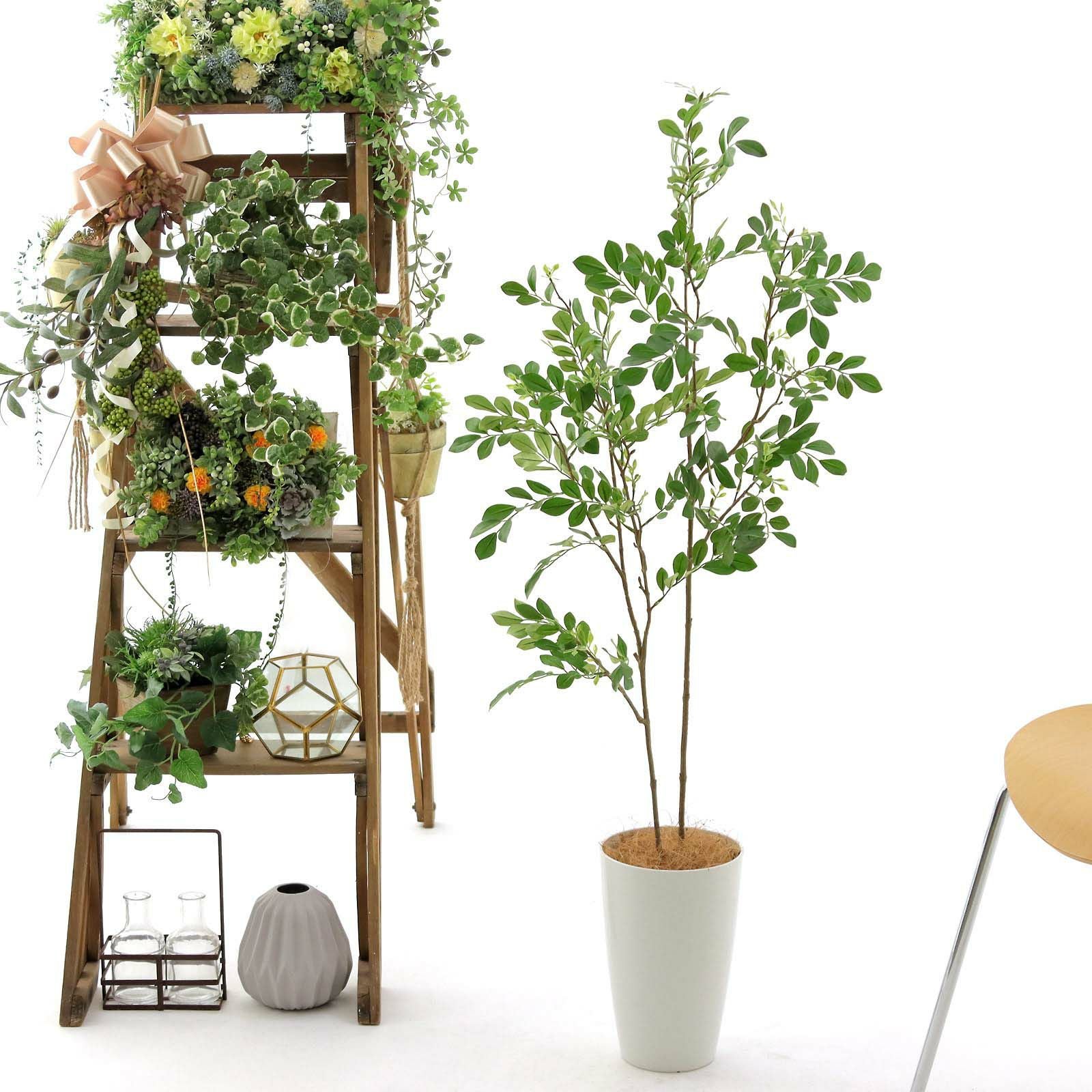 000000000005-03.jpg?size=org&t