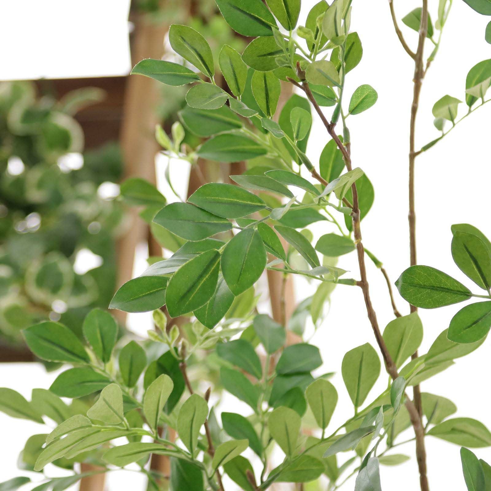 フェイクグリーン シマトネリコ ディテール