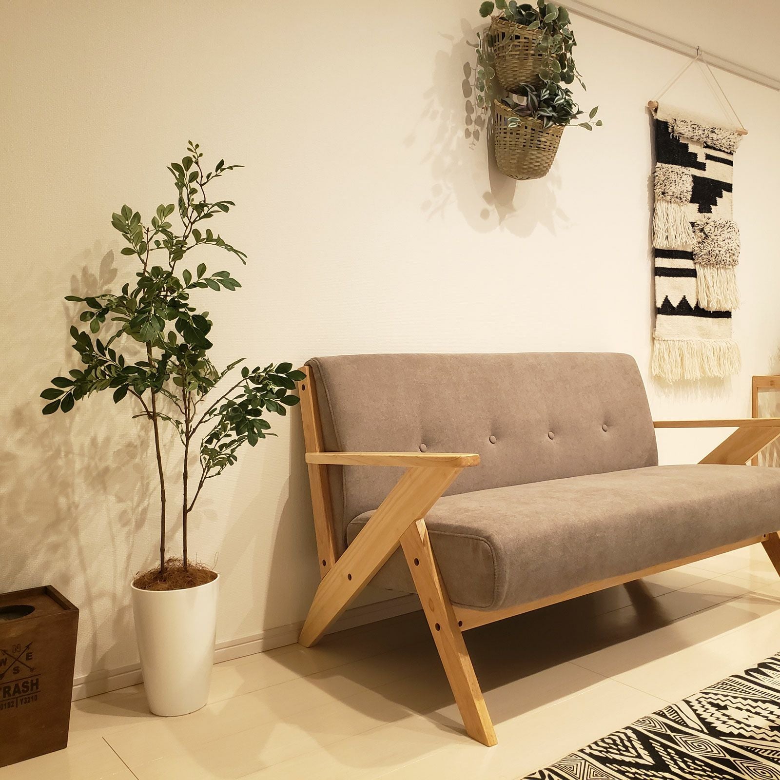 No3545 シマトネリコのあるソファ横イメージ