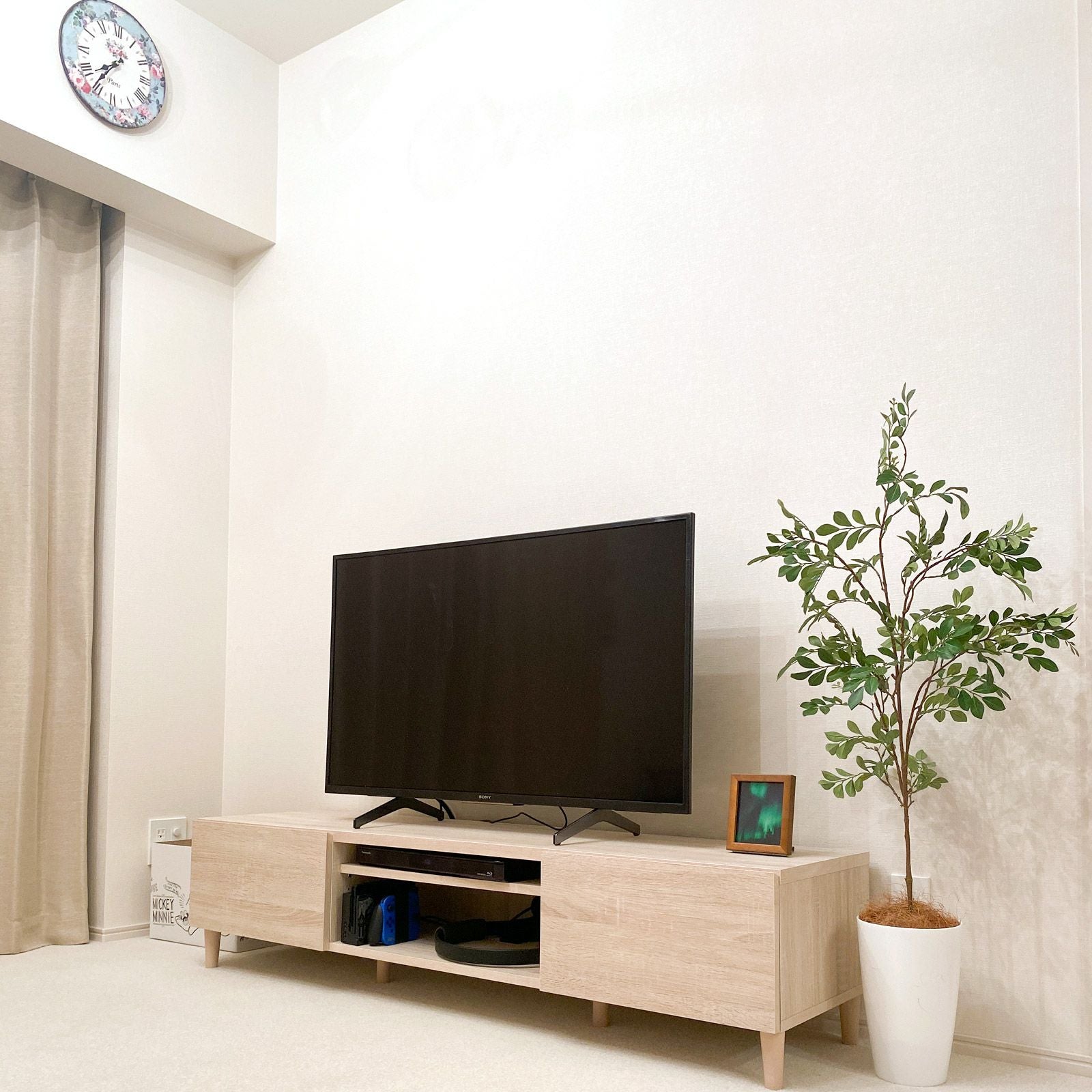 No3545 シマトネリコのあるリビング テレビ横イメージ