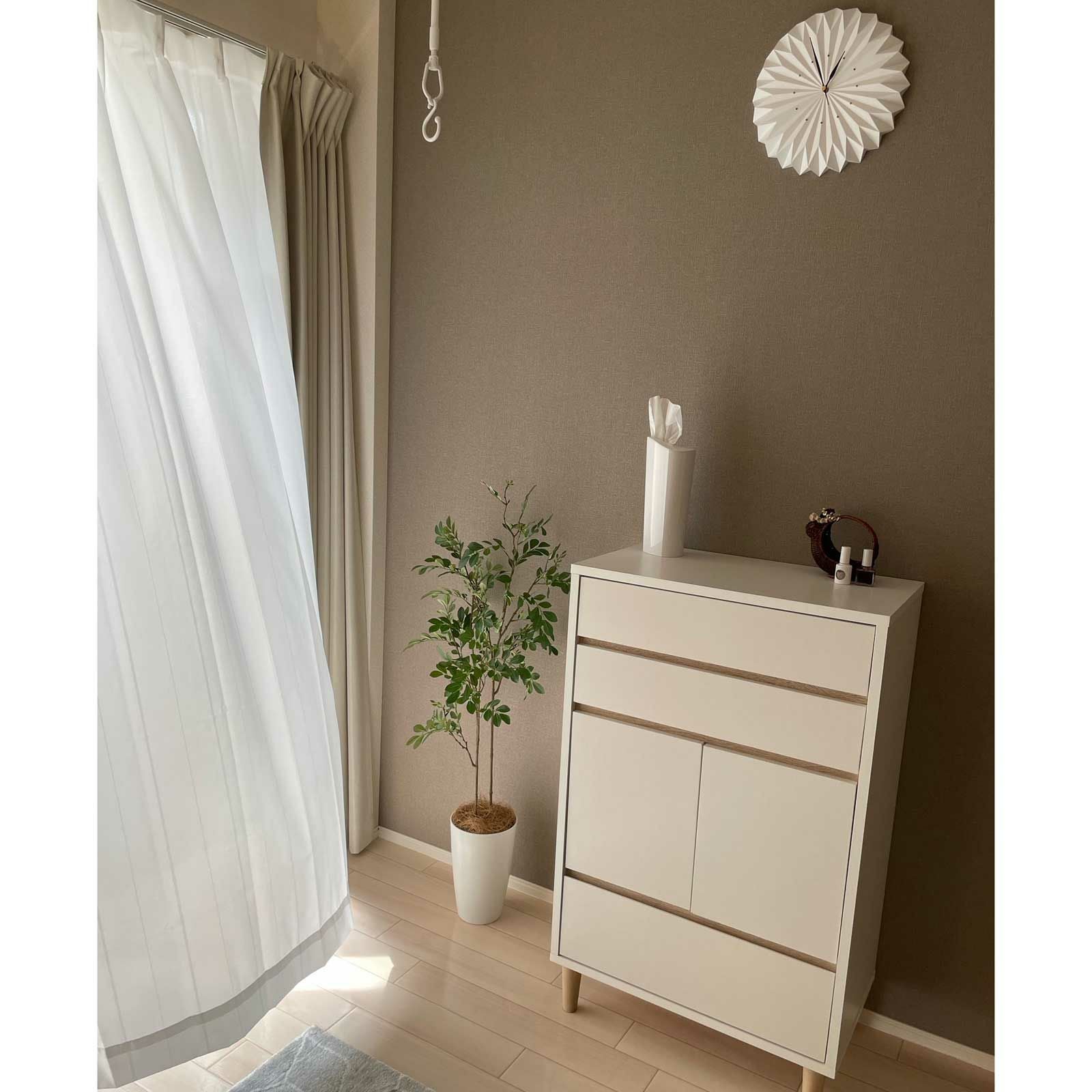 No3545 シマトネリコのある暮らしイメージ