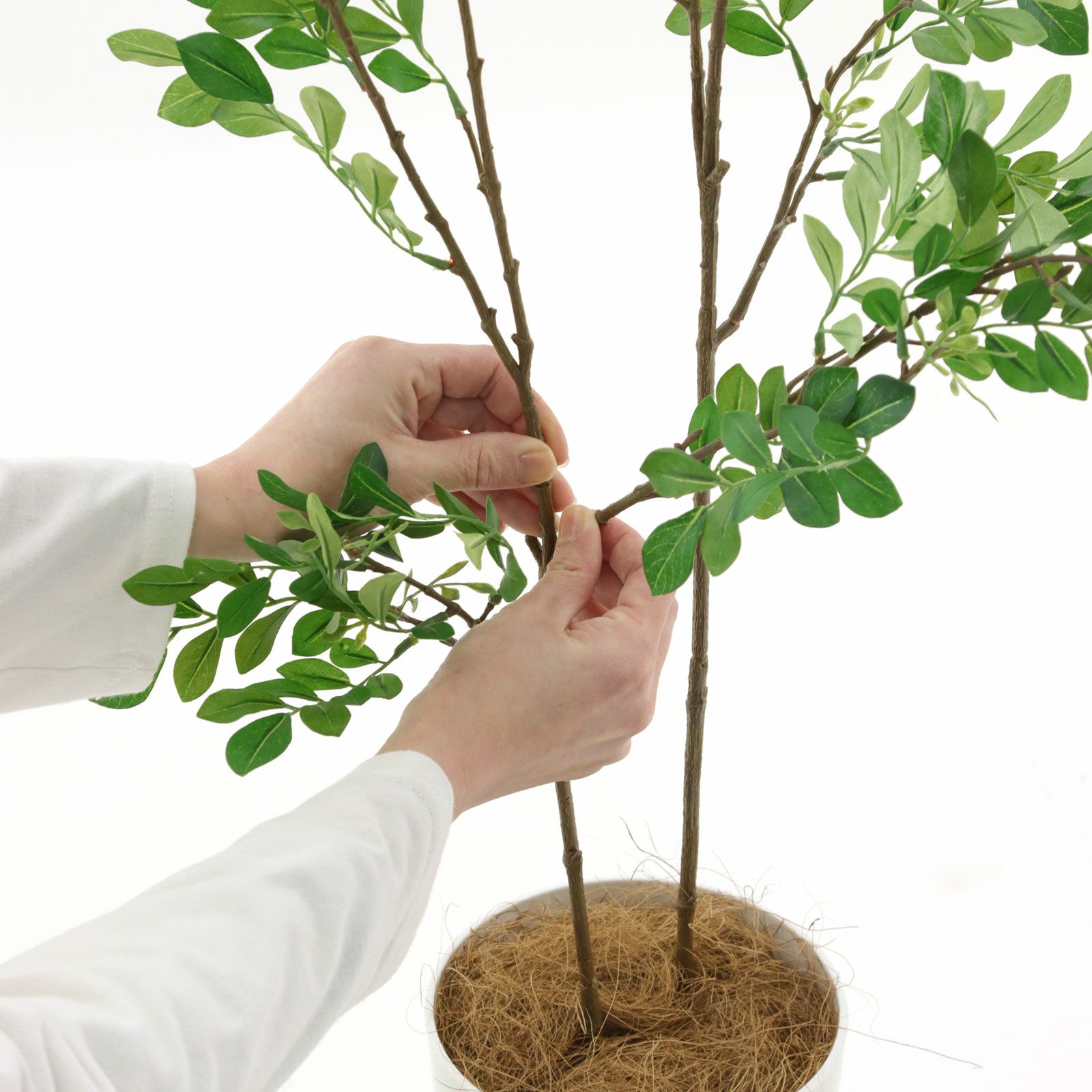 No3545 プレミアム光触媒フェイクグリーン 「繊細な葉 × すっきり2本立